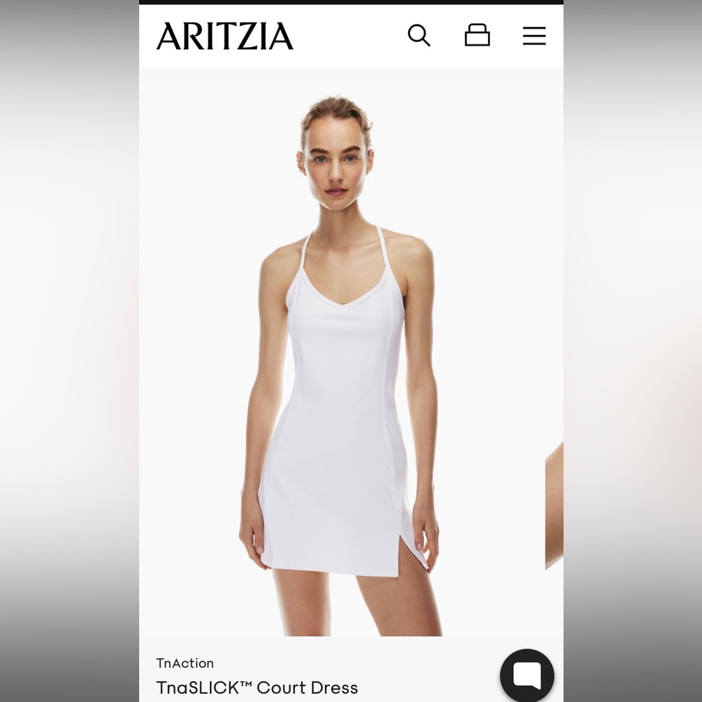 Aritzia Court Dress